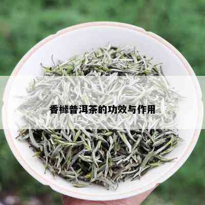 香橼普洱茶的功效与作用