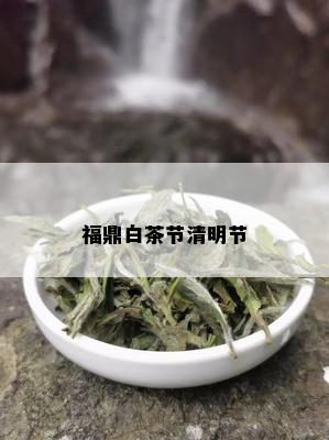 福鼎白茶节清明节