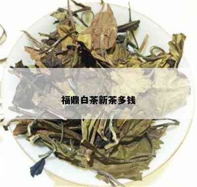 福鼎白茶新茶多钱