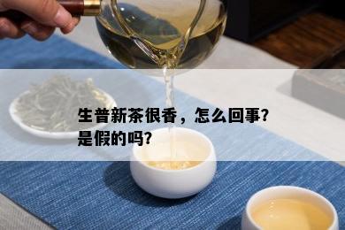 生普新茶很香，怎么回事？是假的吗？