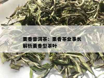 栗香普洱茶：栗香茶业事长解析栗香型茶叶