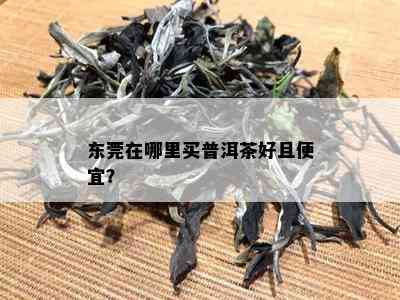 东莞在哪里买普洱茶好且便宜？