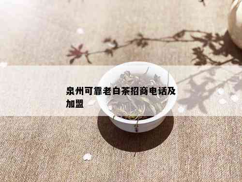 泉州可靠老白茶招商电话及加盟