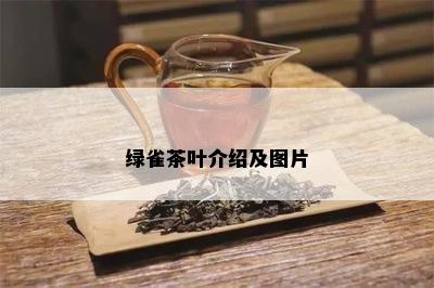 绿雀茶叶介绍及图片