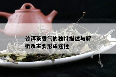 普洱茶香气的独特描述与解析及主要形成途径