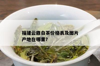 福建云鼎白茶价格表及图片产地在哪里？