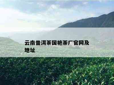 云南普洱茶国艳茶厂官网及地址