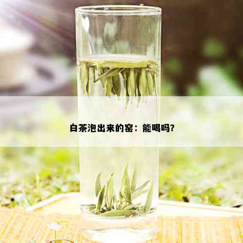 白茶泡出来的窑：能喝吗？