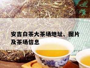 安吉白茶大茶场地址、图片及茶场信息