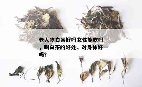 老人吃白茶好吗女性能吃吗，喝白茶的好处，对身体好吗？