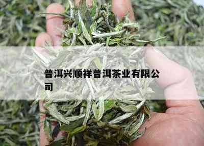 普洱兴顺祥普洱茶业有限公司