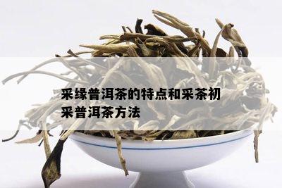 采缘普洱茶的特点和采茶初采普洱茶方法