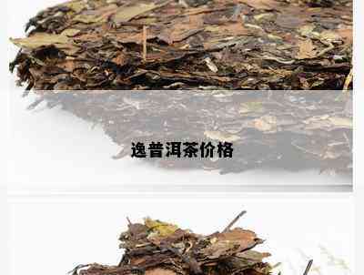 逸普洱茶价格