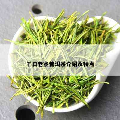 丫口老寨普洱茶介绍及特点