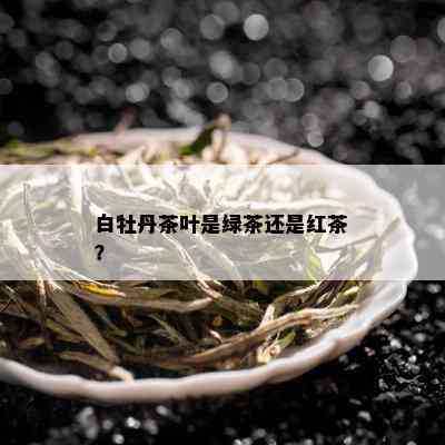 白牡丹茶叶是绿茶还是红茶？