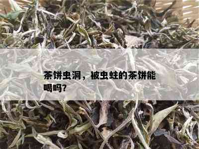 茶饼虫洞，被虫蛀的茶饼能喝吗？