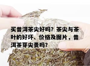 买普洱茶尖好吗？茶尖与茶叶的好坏、价格及图片，普洱茶芽尖贵吗？