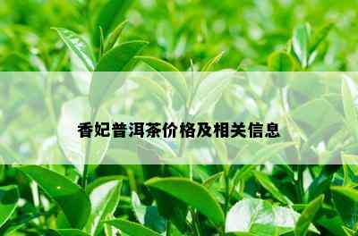 香妃普洱茶价格及相关信息