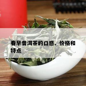 春早普洱茶的口感、价格和特点