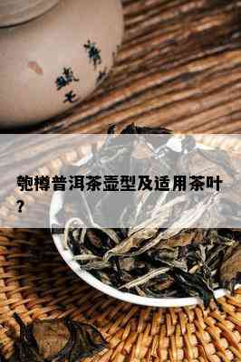 匏樽普洱茶壶型及适用茶叶？