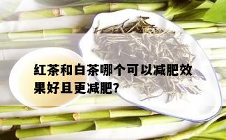 红茶和白茶哪个可以减肥效果好且更减肥？