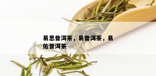 易思普洱茶，易普洱茶，易佑普洱茶