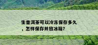 生普洱茶可以冷冻保存多久，怎样保存并放冰箱？