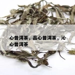 心普洱茶，品心普洱茶，沁心普洱茶