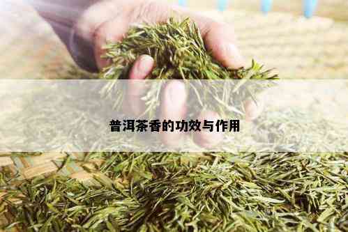 普洱茶香的功效与作用