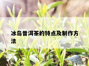 冰岛普洱茶的特点及制作方法