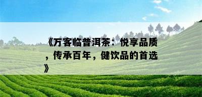 《万客临普洱茶：悦享品质，传承百年，健饮品的首选》