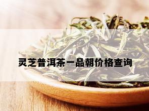 灵芝普洱茶一品朝价格查询