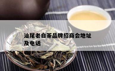 汕尾老白茶品牌招商会地址及电话