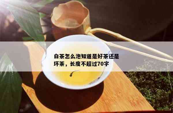 白茶怎么泡知道是好茶还是坏茶，长度不超过70字