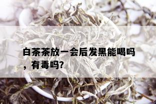 白茶茶放一会后发黑能喝吗，有吗？