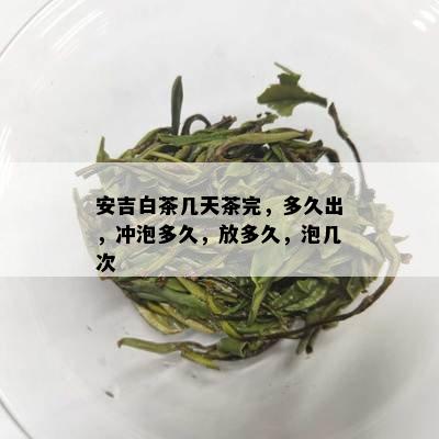 安吉白茶几天茶完，多久出，冲泡多久，放多久，泡几次