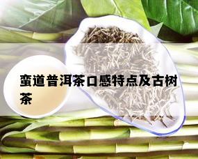 蛮道普洱茶口感特点及古树茶