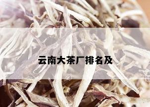 云南大茶厂排名及