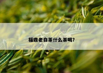 福鼎老白茶什么茶喝？