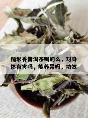 糯米香普洱茶喝的么，对身体有害吗，能养胃吗，功效