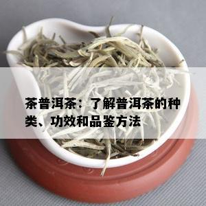 茶普洱茶：了解普洱茶的种类、功效和品鉴方法