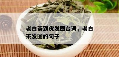 老白茶到货发圈台词，老白茶发圈的句子