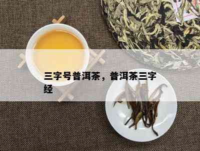 三字号普洱茶，普洱茶三字经