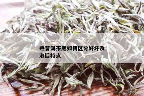 熟普洱茶底如何区分好坏及泡后特点