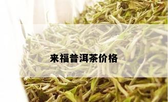 来福普洱茶价格