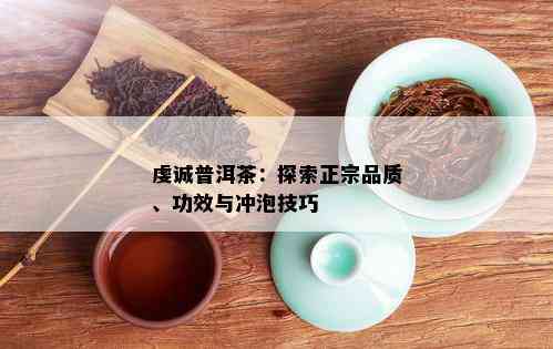 虔诚普洱茶：探索正宗品质、功效与冲泡技巧