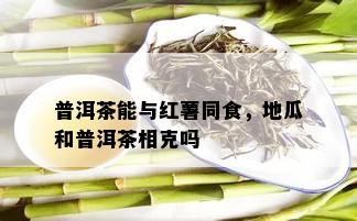 普洱茶能与红薯同食，地瓜和普洱茶相克吗