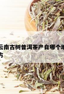 云南古树普洱茶产自哪个地方