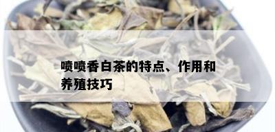 喷喷香白茶的特点、作用和养殖技巧