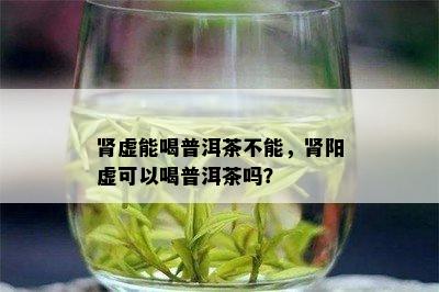 肾虚能喝普洱茶不能，肾阳虚可以喝普洱茶吗？